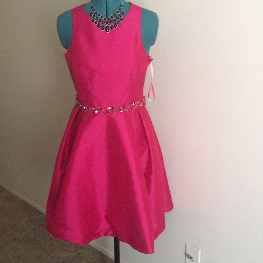 Beautiful Pink Monique Lhuillier Dress